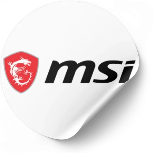 MSI